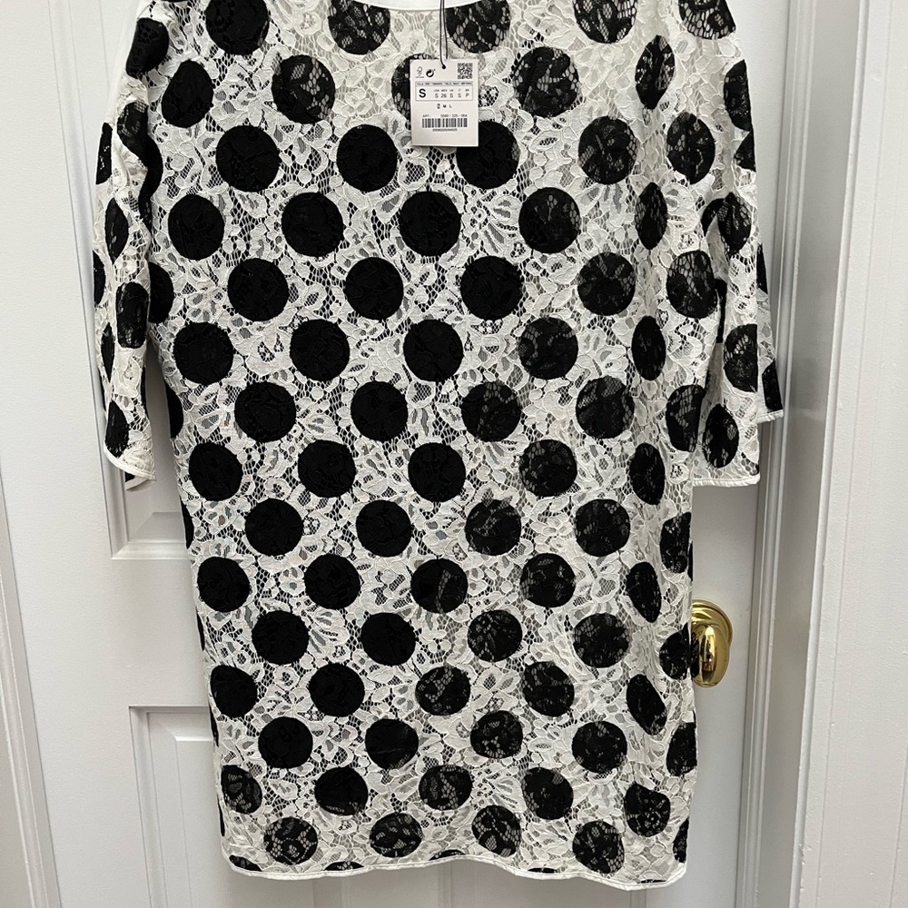 Zara Black and White Lace Mini Dress
